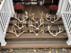 Big Cove High Fence Whitetails – Deer Harvest 2023