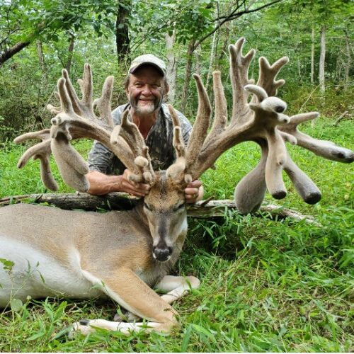 Big Cove High Fence Whitetails - High Fence Whitetail Deer Hunts